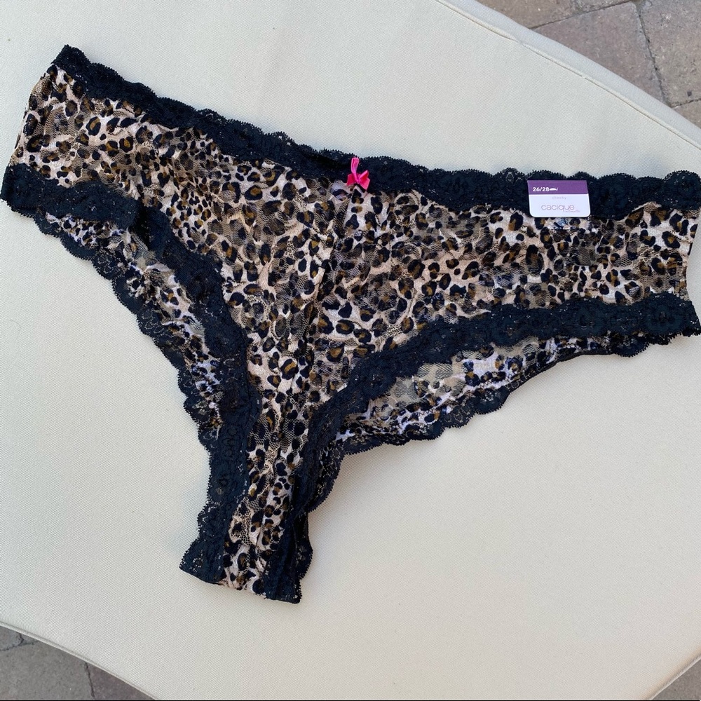 Plus Size Cheeky Panties